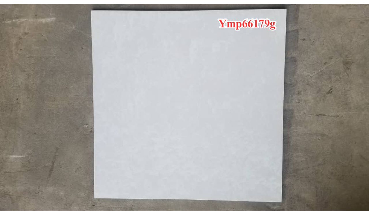 Ymp66179g
